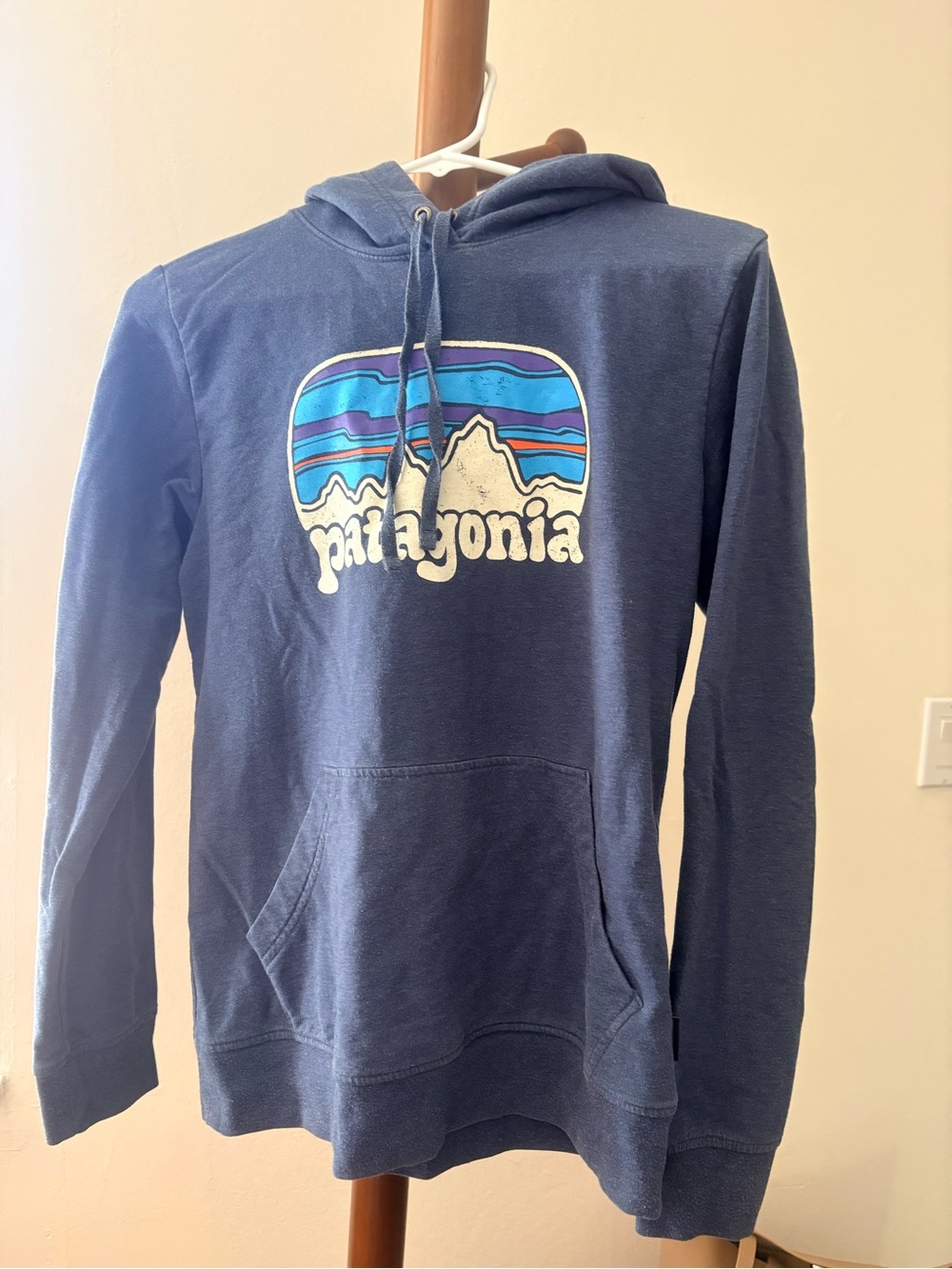 Patagonia Navy Blue Pullover Hoodie with Mountain Logo